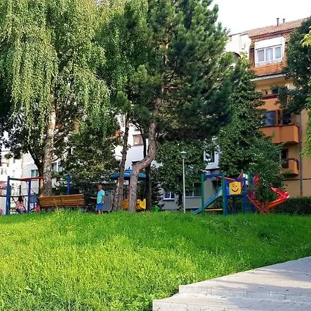 Dawn Cluj-Napoca