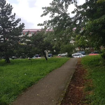 Dawn Cluj-Napoca